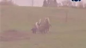 Правостороннее и левостороннее движение