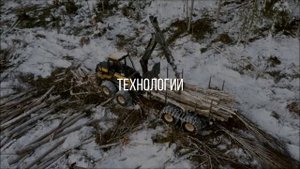 Лесозаготовка России