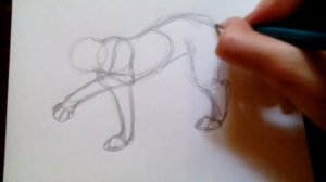 Уроки рисования №8 | Как нарисовать рысь | Рисуем легко | Рисование для начинающих | Рысь | #18