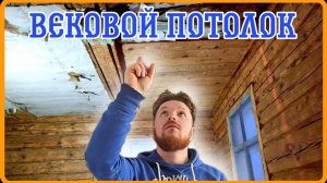 Ремонт потолка в 100-летнем доме на хуторе. С Рождеством! #хочувдеревню #своимируками