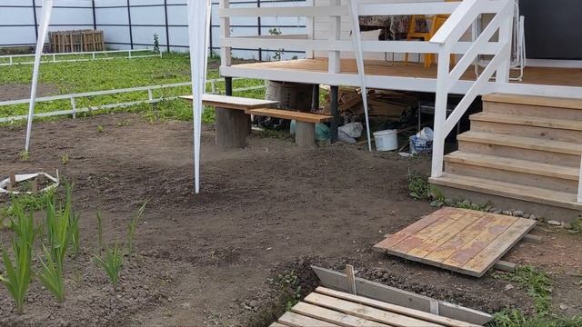 # 135. Со мной такое впервые.. Синдром уходящего лета ? Наши 10 соток - загородная жизнь с нуля 202