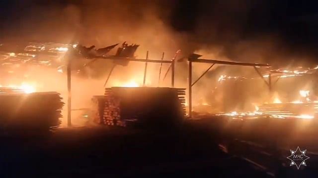 12 09 2023 Гродненский район, пилорама смотреть онлайн