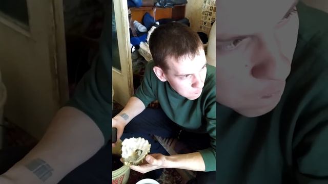Сибиряк пробует устриц..Хохма смотреть онлайн
