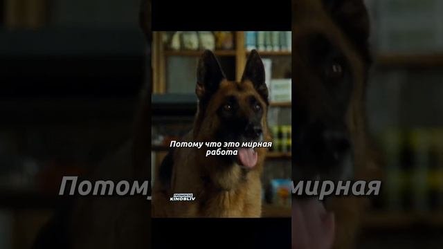 Как называется? #фильмы #чтопосмотреть #драма
