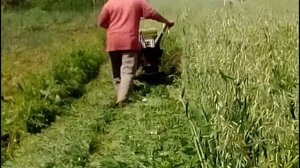 Сенокос.Мотоблок зубр 8-к.с.Роторная косилка