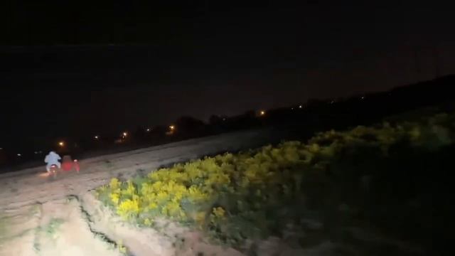 ДАНИЛА ГОРИЛЛА ХОТЕЛ УВЕЗТИ ХИМИЮ ДОМОЙ / Куертов, Данила Горилла, Плохой парень