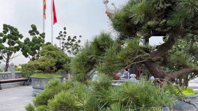 Дананг 2023. Обзор парка Sun World Ba Na Hills. Вьетнам. Золотой мост. Французская деревня. #дананг