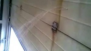 Ворота на мойке DOORHAN