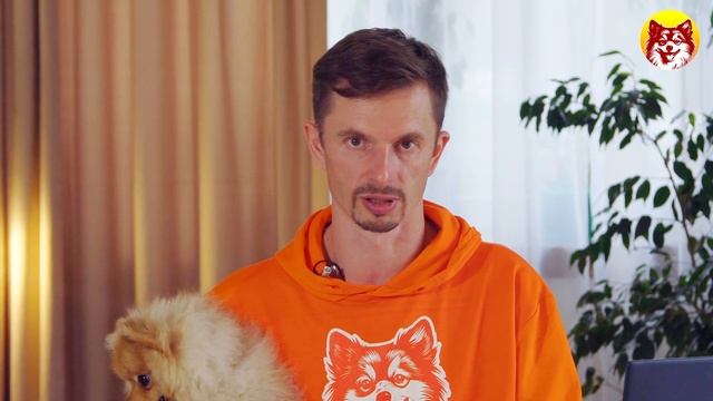 Сухие корма для собак из Китая. Что на самом деле лучше купить, своё или зарубежное?