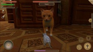 СИМУЛЯТОР МЫШИ #35 ОХОТИТСЯ КОШКА в Mouse Simulator
