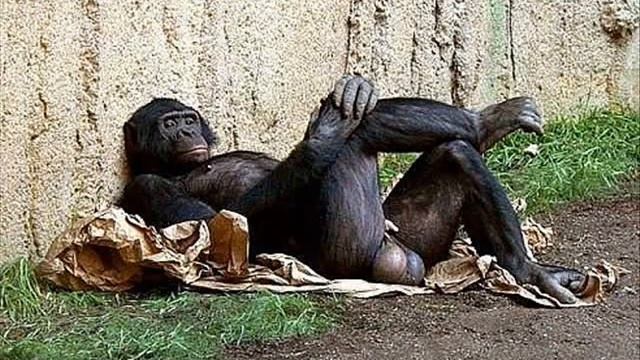 БЕЛАЯ БЕРЕЗА.:) живой смотреть онлайн