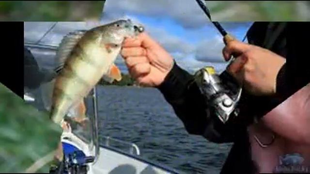 Ykt HF and OA рыбалка на спиннинг( Fishing with spinning) смотреть онлайн