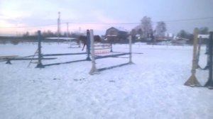 Остэр, связка, 25 января, 2016