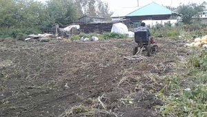 Уборка огорода мотоблоком с адаптером.