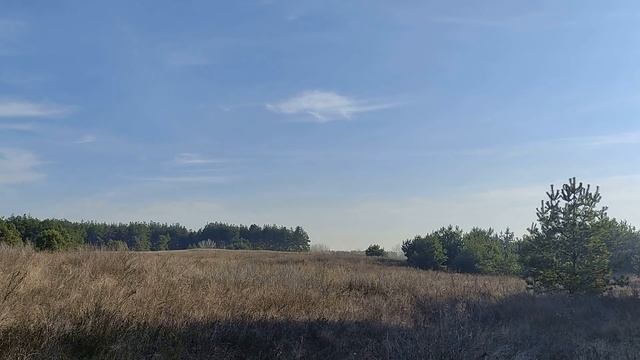 10 декабря праздник Знамение Пресвятой Богородицы. Запреты дня. Народные приметы и традиции.