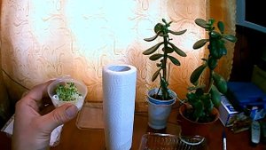 Эффект полостных структур   ЧАСТЬ - 2