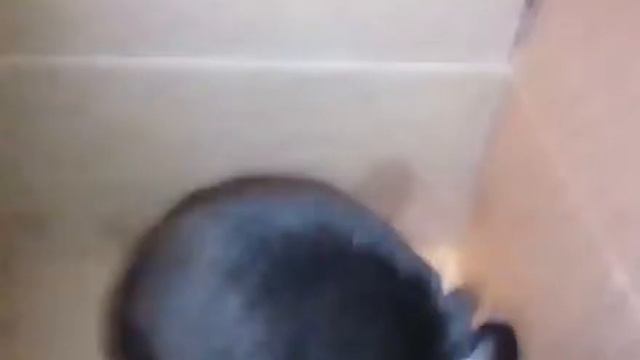 Как воспринимаем мир мы люди и как животные!!? Скетч!!! Видео с котом!!? смотреть онлайн