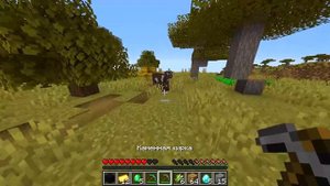 ?Как пройти майнкрафт на сложности "псих"?