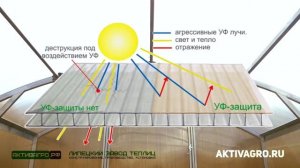 Обзор теплицы  «Ударница Благодатная» шириной 2.5 метра