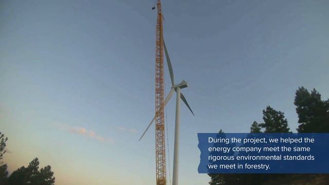 Wind Farm Provides Clean Power to 1000s While Tree Farm Grows Around It