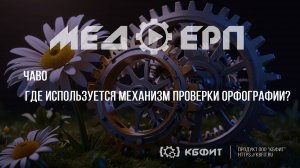 КБФИТ: МЕДЕРП. ЧАВО. Где используется механизм проверки орфографии?