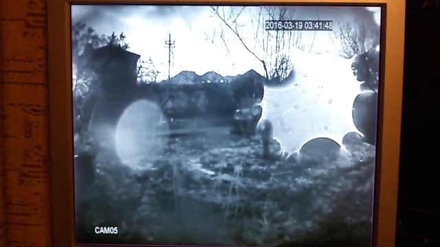 Боинг 737 Ростов-на-Дону смотреть онлайн