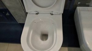 Grohe Essence 3957100H подвесной унитаз wall wc 39577000 soft close seat крышка 39576000 39571CB0