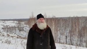 Послушник. Рассказы сельского батюшки