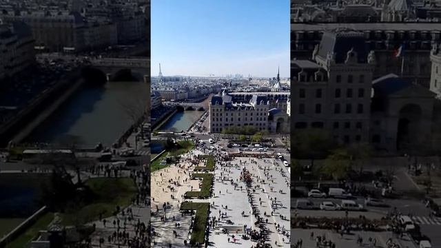 Paris views - Notre Dam