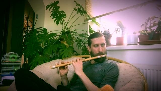 Флейта Бансури Фа диез смотреть онлайн