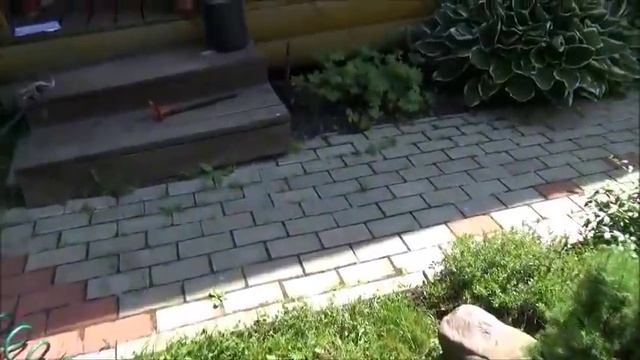 Дача. Влог.Делаем дополнительный полив.Схема участка. Клопогон.Камнеломка. Дела дачные.