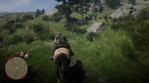 Red dead redemption 2 I Сбор костей динозавров с 8 по 14 #39 PS4