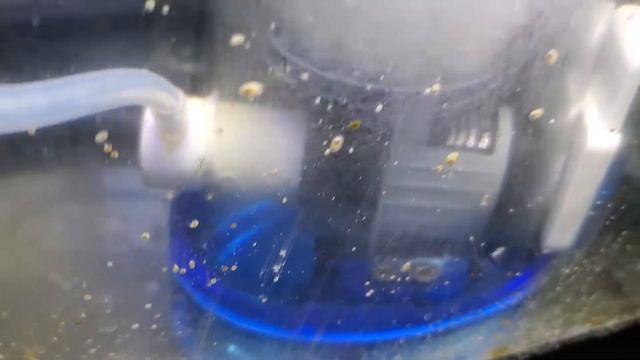 Eshopps s-120 skimmer dc pump upgrade to coralbox dca1200