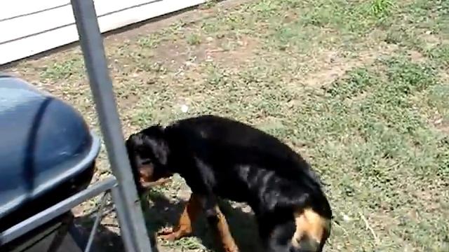 Sony DSC-H1 camera test смотреть онлайн