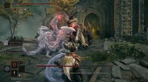 Все усиленные прахи ► Сравнение усиленных прахов против Маргита НГ+ ► Elden Ring