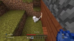 How To Tame Cats In Minecraft Bedrock & Java!