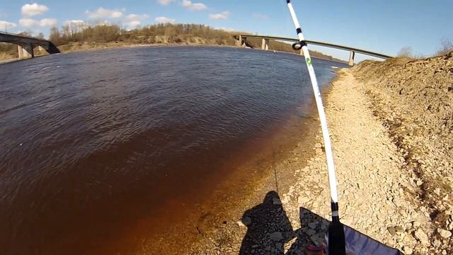 Рыбалка на р.Волхов на фидер смотреть онлайн