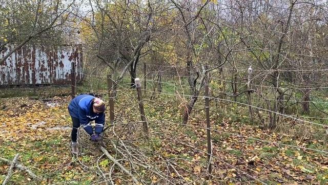 У нас появилась собака на даче| Уборка в саду