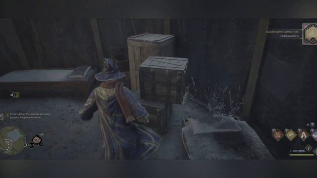 HOGWARTS LEGACY | Часть 6 | Запретный лес и Полет на метле . смотреть онлайн