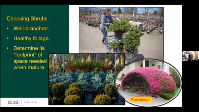 Field to Fork 2021 - Shopping in a Garden Center: Tips for Customers and Managers with Don Kinzler смотреть онлайн