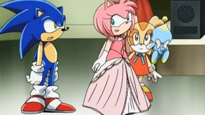 Соник смущается увидев Эми | Сонэми (Sonamy) в аниме Sonic X (Соник Икс)