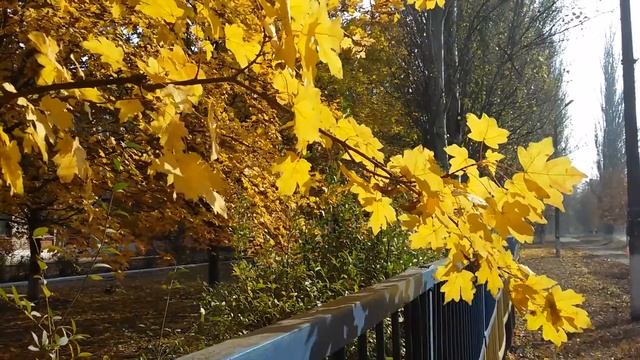 Осень в городе. смотреть онлайн