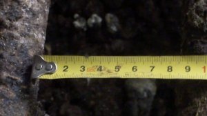 Насесты из черенков  ЭКОНОМ КЛАССА .   ( 9 предложений перед выбором насеста)