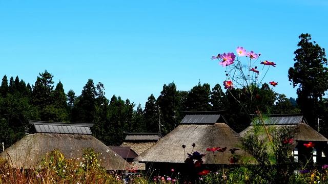 Мертвая мама ночами приходила в дом, стучала в окно – и однажды они спросили, ЧТО ЕЙ НУЖНО смотреть онлайн