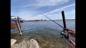 Спиннинг Daiwa Ballistic- X UL Spin 2,3m 3,5- 12gr & Катушка Daiwa 17 Ballistic LT3000D- CXH Обзор
