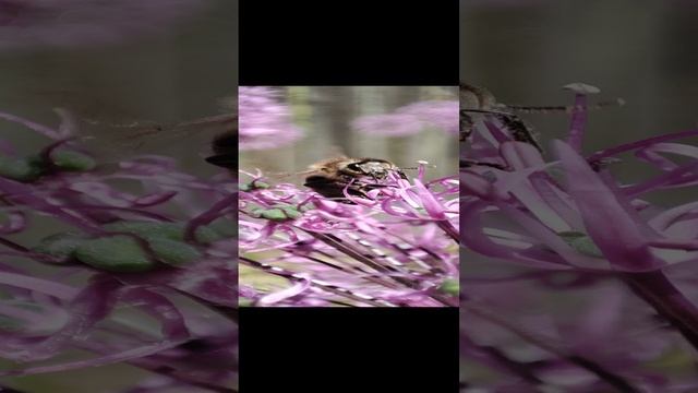 VID_20220608_132429.mp4