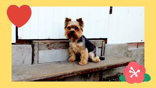 Привет от Бони смотреть онлайн