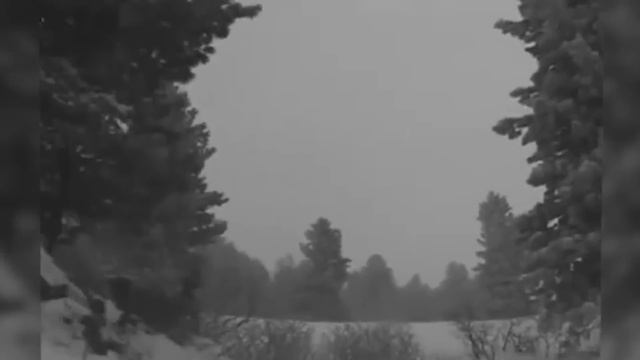 Дезертир с фронта проживший 10 лет в тайге утащил девушку в лес: что он с ней сделал? смотреть онлайн