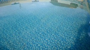 Ржавая вода в каркасном бассейне#синтепон