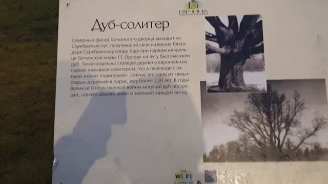 Гатчина дворец 20.02.20 смотреть онлайн